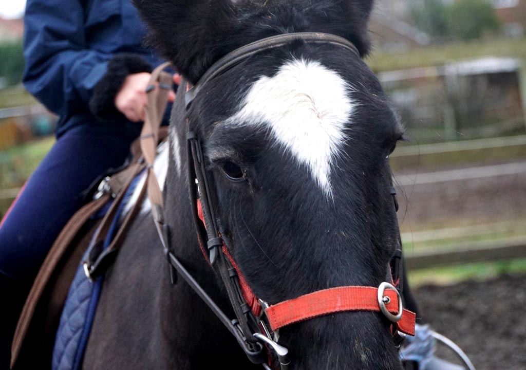 side-saddle-derbyshire