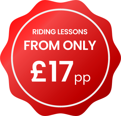 Lessons from only £17 per person