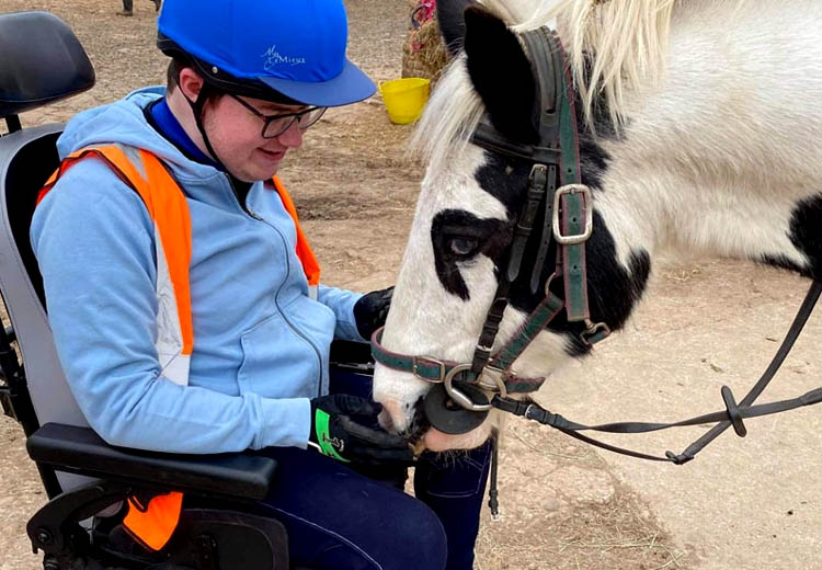 Disabled Pony Riding Lessons in Mansfield