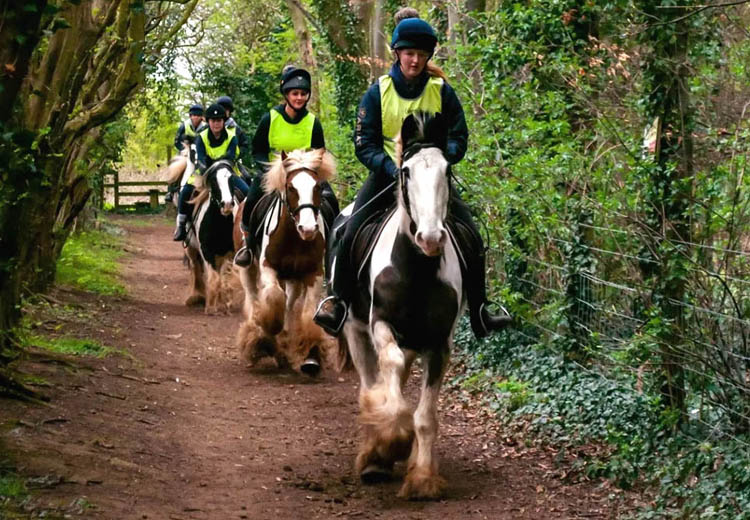 Horse Riding Holiday in Creswell
