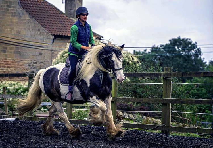 Pony & Horse Riding Lessons in Nottingham