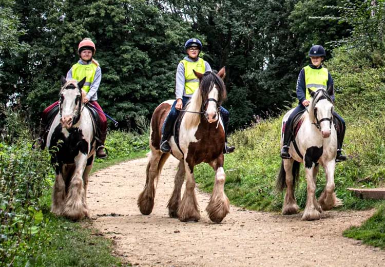 Pony Trekking in Chesterfield