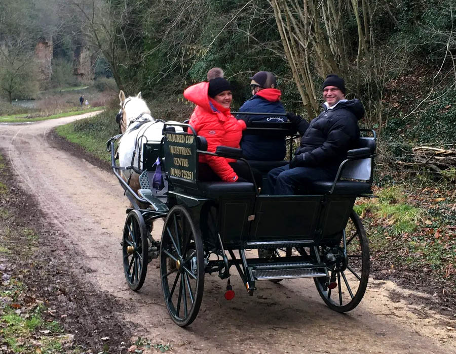 Horse and Carriage Driving Lessons in Nottinghamshire