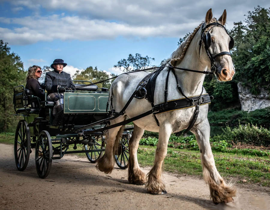 Horse & Carriage Ride Hen Parties in Nottinghamshire