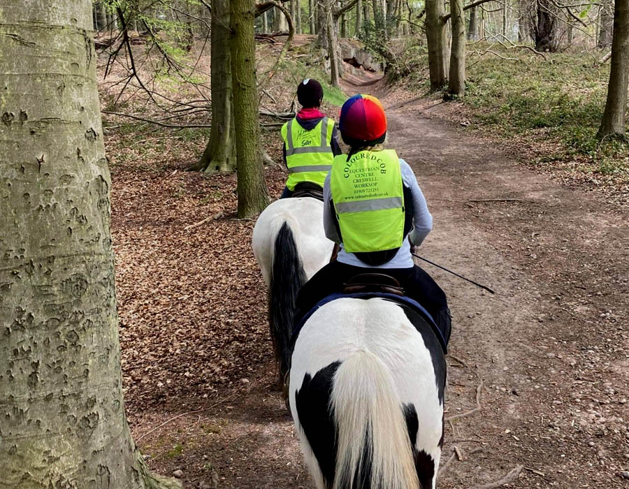 Advanced Pony Trek & Exhilarating Forest Rides in Derbyshire