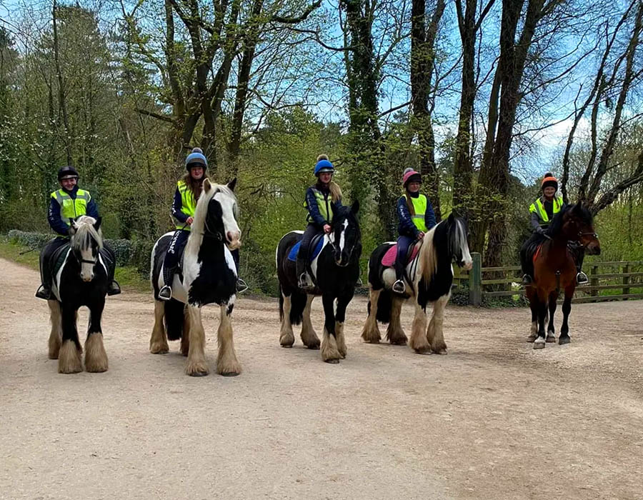 Horse Riding Group of Pony Trekkers