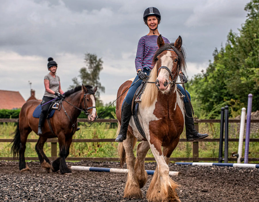 Individual & Group Horse Riding Lessons in Nottinghamshire